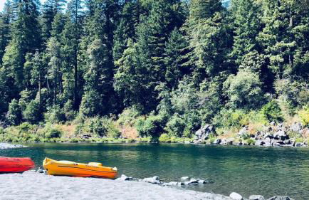 Surfside Beach House near Ancient Redwoods - Foto 66