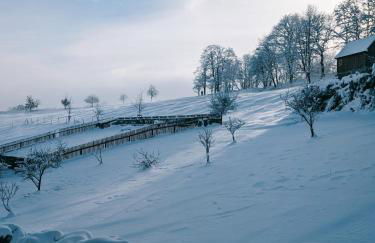 Landhaus Seiffen - Foto 22