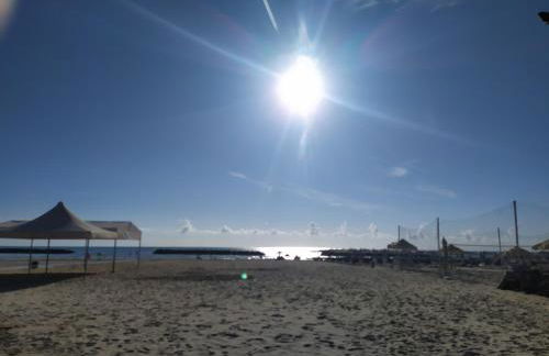 stella marina - Foto 28