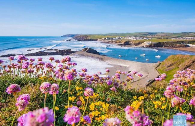 2-bed Cottage, Sleeps 5, Pets Ok, Close to Coast - Foto 32