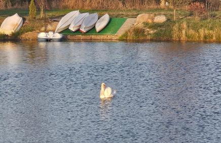 Willa Skrzatusz - Foto 57