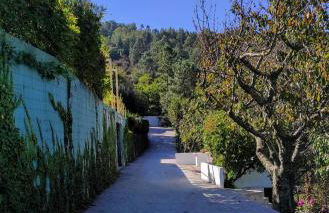 Pera da Serra - Turismo no Espaço Rural - Foto 7