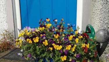 Marjorie's Cottage - Foto 5, Garden view