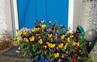 Marjorie's Cottage - Foto 5