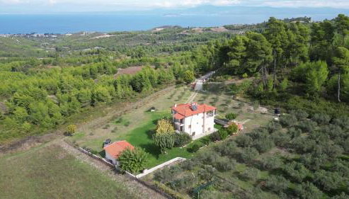 Κτήμα Verde - Foto 3