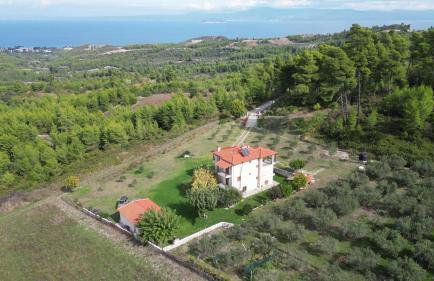 Κτήμα Verde - Foto 3