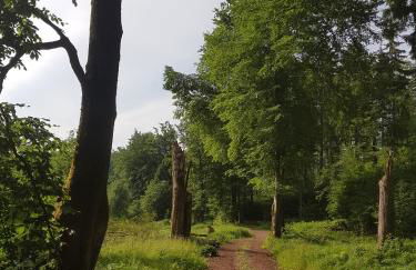 ferienwohnungen.ruhla - Foto 25