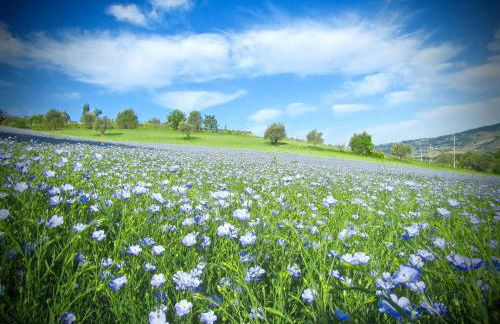 Bright apartment in Castelbellino - 75 m² - Shared Pool - Foto 20