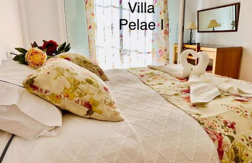 Villa Pelae - Photo 49