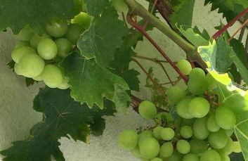 Atelier am Markt - Photo 26