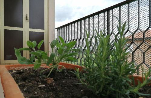 Il Gelsomino Assisi - Foto 26