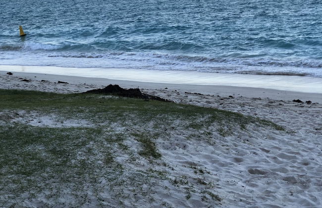 Sugareef 3-bed Apartment in Flic en Flac - Photo 22