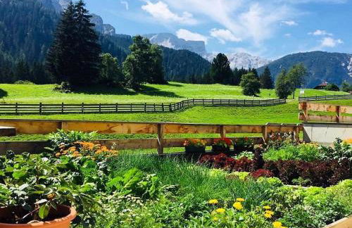 Mösslhof App Garten - Foto 15