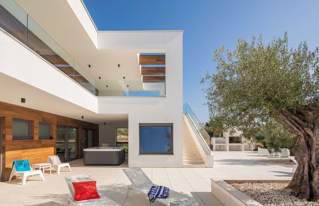 Old Olive VIII - Foto 47