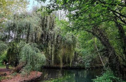 Gîte du Parc des Mauves - Photo 38