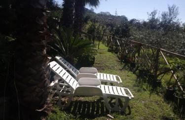 Casa di Martina - Photo 28