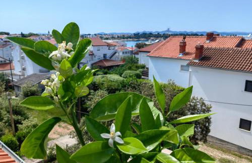 Residence Family Plazina - Place 1 & 2 - Foto 38