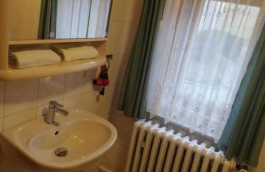 Erzhof Nassau- Gästezimmer an der Loipe - Foto 9