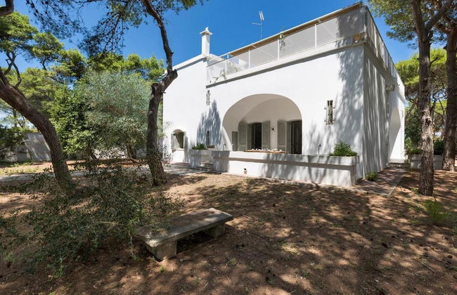 1675 Masseria Villa in Torre Specchia Ruggeri - Foto 17