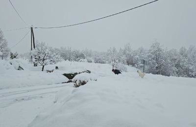 Apartment Andrea - Foto 38