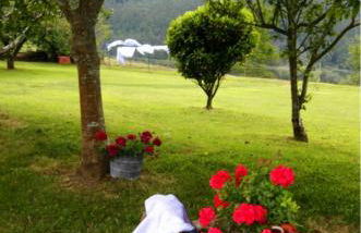 Casa Hortensia - Foto 19