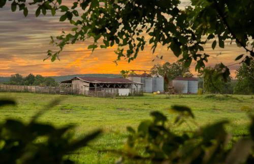 Sunrise, Mountain & Farm View - Heated Tub or Pool - Foto 17