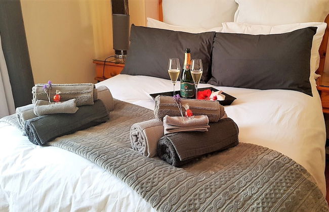 Experience Nature at Brenton on Sea With Breakers Dolphins and Whales - Foto 3