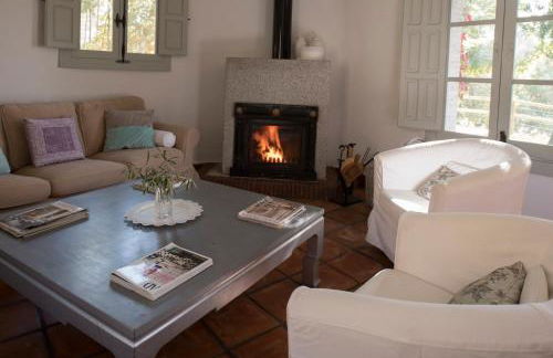 Abejas 1 de El Vergel de Chilla - Foto 28