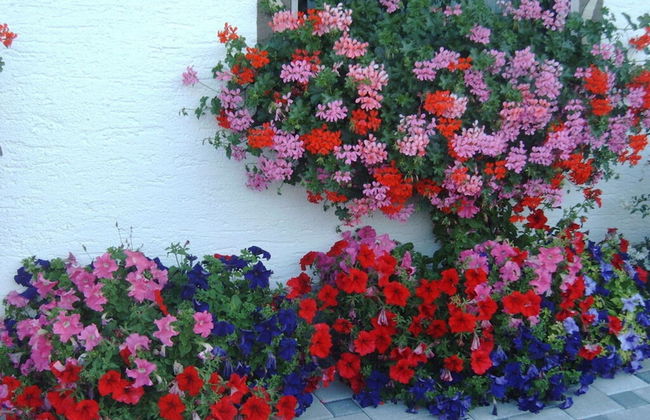 Holiday Apartment Breit - Foto 20