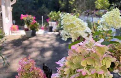 Ferienwohnung Little Something - Foto 1