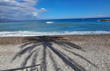 Atelier Sonia - Foto 52