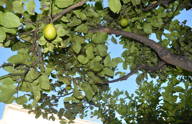 B&B Il Piccolo Principe - Photo 32