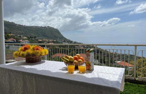 Spring House AL - Foto 16