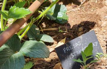 Eco Finca Sa Font Blava - Foto 28