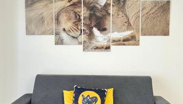 LA Home - Animal House - Foto 3