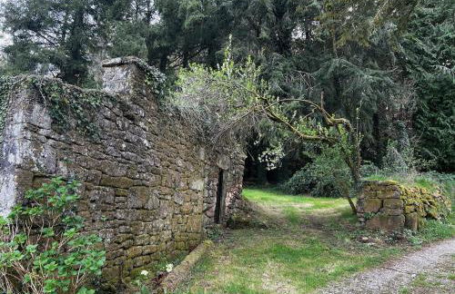 Gîtes du Gohic - Le Cidre - Foto 33