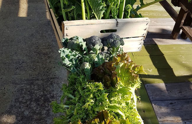 Le Radici Casa Vacanze - Foto 42