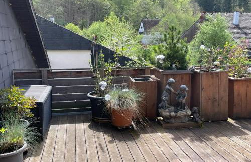 Barbara Blick - riesige Terrasse Schwäbischen Alb - Foto 9