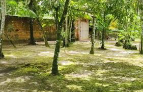 Chácara Bela Vista - Photo 6