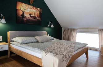 Apartament Pod Bukowym Lasem - Foto 14