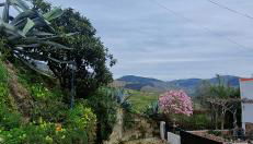 Casa Rodrigues - Foto 2