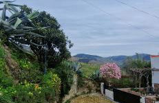 Casa Rodrigues - Foto 2