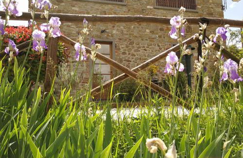 Residence il Poggiolino - Foto 12