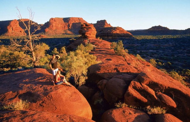 Safari 4x4 por el Outback de Palm Valley - Tour de día completo - Foto 3