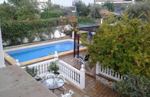 Studio Tropical - Foto 26