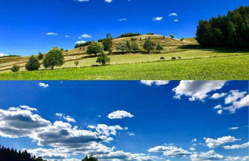 Cisowe Wzgórze - Foto 19