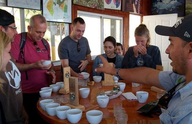 Boquete Coffee Tour - Photo 5