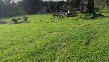 Tiny house au cœur du marais - Foto 4, Garden view