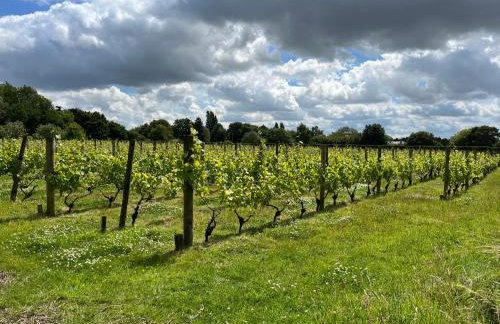 Giffords Hall Garden Room - Foto 6