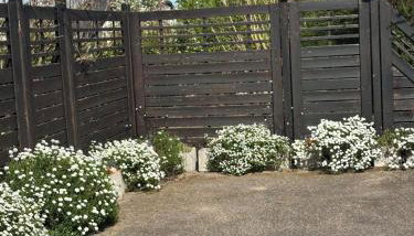 Grand appartement au cœur de la région alsacienne - Foto 5